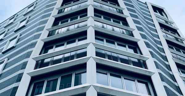 蜜蜂vpn七天试用